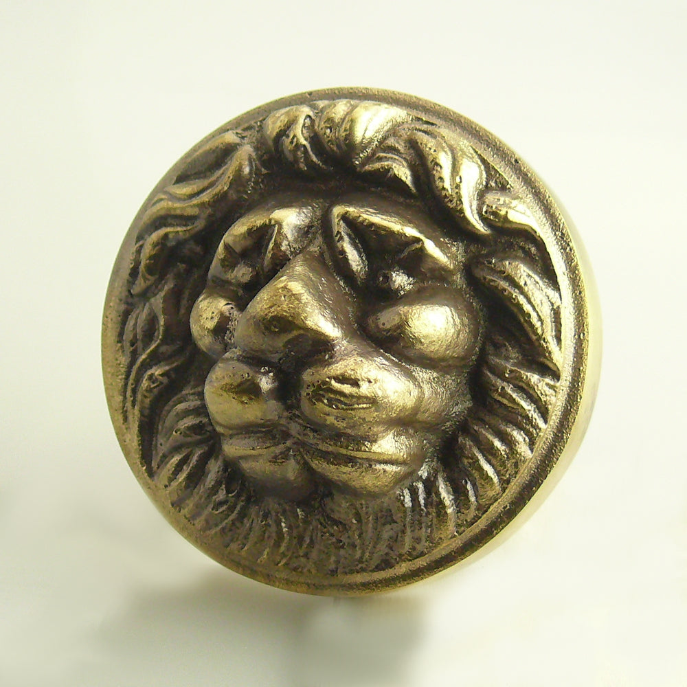 Gründerzeit Haustür Garnitur NA-O-K22-WE "Löwe"